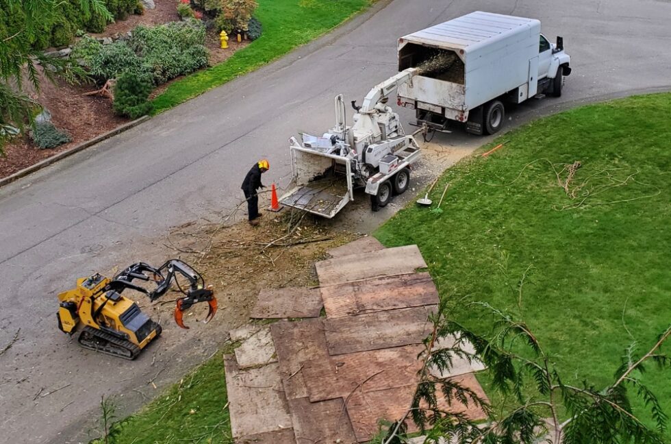 Fine Line Tree Service Committed to professional results and customer